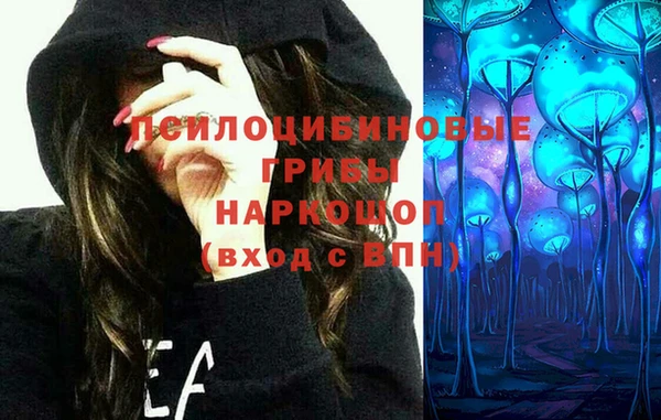 хмурый Абинск